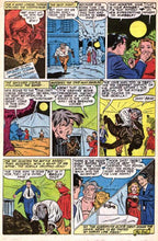 Load image into Gallery viewer, Ace Comics Collection 199 Issues on DVD