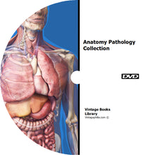 Load image into Gallery viewer, Anatomy Pathology Collection 21 Books on DVD