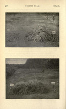 Load image into Gallery viewer, Broom Making Sorghum Collection 13 Books on DVD