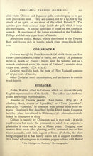 Load image into Gallery viewer, Leatherwork Leather Making Collection 55 Books on DVD