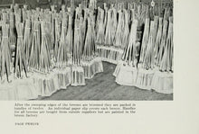 Load image into Gallery viewer, Broom Making Sorghum Collection 13 Books on DVD