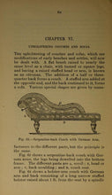 Load image into Gallery viewer, Upholstery Collection 12 Books on DVD