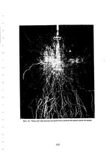 Load image into Gallery viewer, Nikola Tesla Collection 253 Books on DVD
