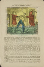 Load image into Gallery viewer, Dime Novels Collection 70 Books on DVD