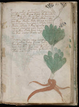 Load image into Gallery viewer, Voynich Manuscript on DVD