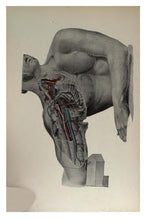 Load image into Gallery viewer, Anatomy Pathology Collection 21 Books on DVD