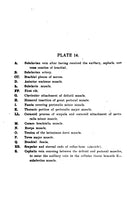 Load image into Gallery viewer, Anatomy Pathology Collection 21 Books on DVD