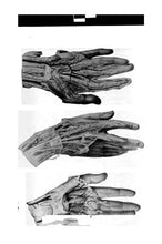 Load image into Gallery viewer, Anatomy Pathology Collection 21 Books on DVD