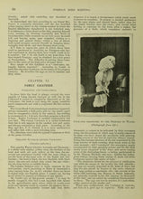 Load image into Gallery viewer, Cage Birds Collection 123 Books on DVD