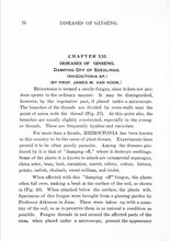 Load image into Gallery viewer, Ginseng Medicinal Herbs Collection 45 Books on DVD