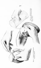 Load image into Gallery viewer, Anatomy Pathology Collection 21 Books on DVD