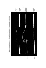 Load image into Gallery viewer, Bobbin Lace Making Collection 5 Books on DVD