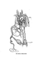 Load image into Gallery viewer, Anatomy Pathology Collection 21 Books on DVD