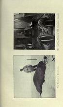 Load image into Gallery viewer, Trapping Hunting Taxidermy Collection 234 Books on DVD