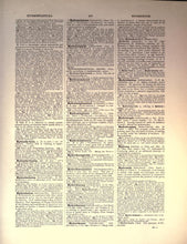 Load image into Gallery viewer, A New English Dictionary on Historical Principles 12 Volumes on DVD
