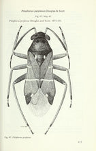 Load image into Gallery viewer, Entomology Collection 301 Books on 2 DVDs