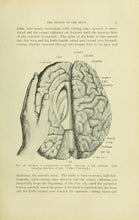 Load image into Gallery viewer, Anatomy Pathology Collection 21 Books on DVD