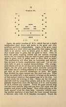 Load image into Gallery viewer, Organ Collection 88 Books on DVD