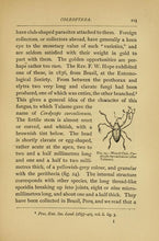 Load image into Gallery viewer, Entomology Collection 301 Books on 2 DVDs