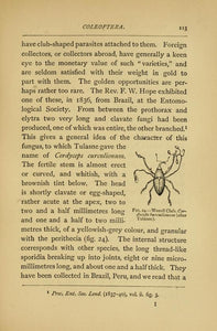 Entomology Collection 301 Books on 2 DVDs