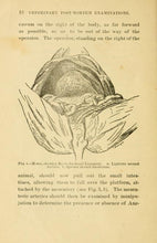 Load image into Gallery viewer, Anatomy Pathology Collection 21 Books on DVD
