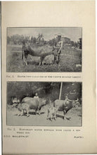 Load image into Gallery viewer, Sausage Meat Preservation Collection 37 Books on DVD