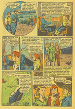 Load image into Gallery viewer, Super Mystery Comics Collection 39 Issues on DVD