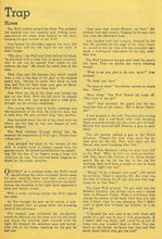 Load image into Gallery viewer, Super Mystery Comics Collection 39 Issues on DVD