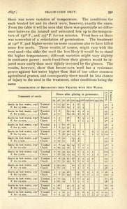 Broom Making Sorghum Collection 13 Books on DVD