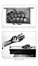Load image into Gallery viewer, Beekeeping Collection 234 Books on DVD