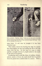 Load image into Gallery viewer, Gardening Collection 144 Books on DVD