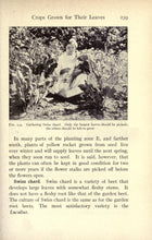 Load image into Gallery viewer, Gardening Collection 144 Books on DVD