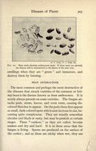 Load image into Gallery viewer, Gardening Collection 144 Books on DVD