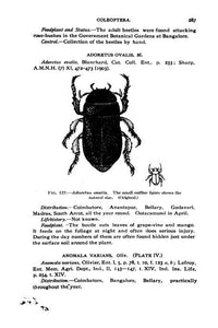 Entomology Collection 301 Books on 2 DVDs