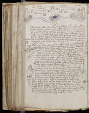 Load image into Gallery viewer, Voynich Manuscript on DVD