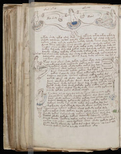 Voynich Manuscript on DVD