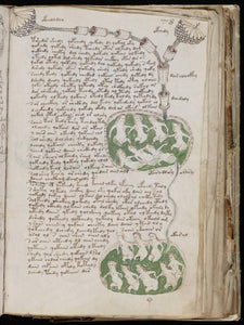 Voynich Manuscript on DVD