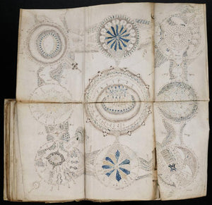 Voynich Manuscript on DVD