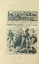 Load image into Gallery viewer, Dime Novels Collection 70 Books on DVD